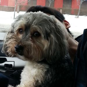 Meet your Posher, Flora